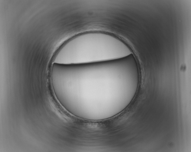 X0000110770439200906150958