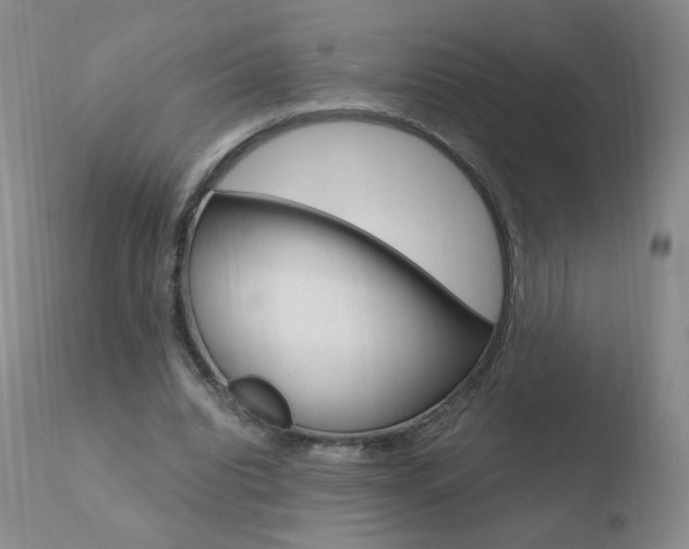 X0000110770440200906150958