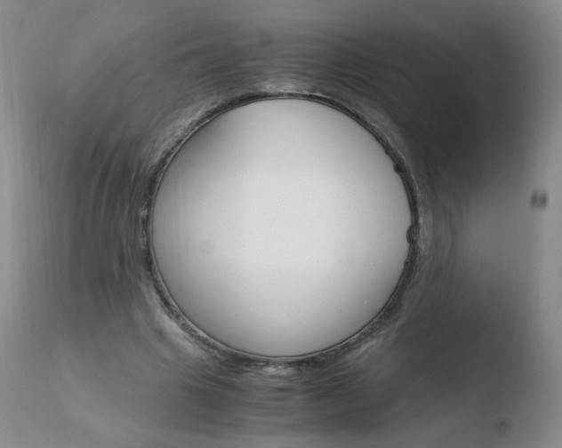 X0000110770441200906150958