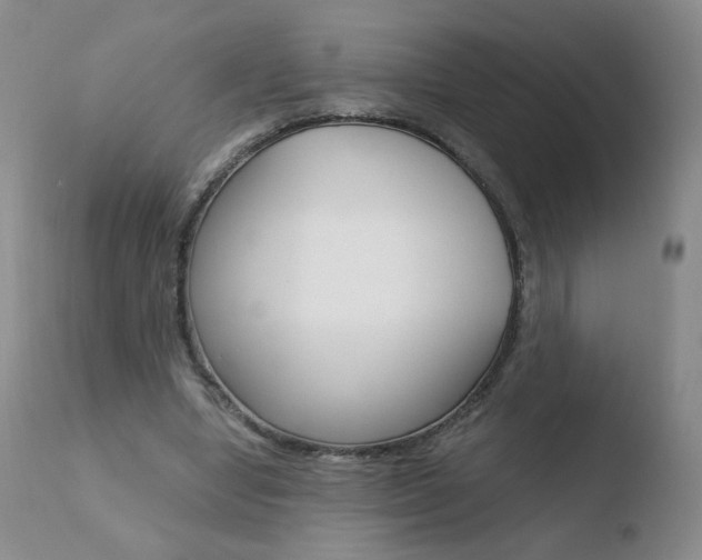 X0000110770442200906150958