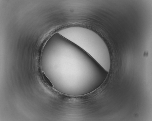 X0000110770444200906150958