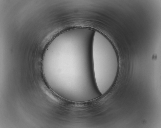X0000110770445200906150958