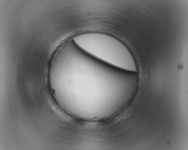 X0000110770446200906150958