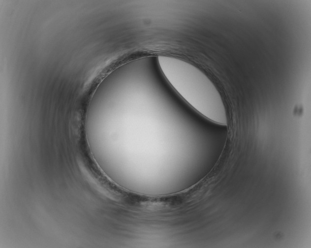 X0000110770448200906150958