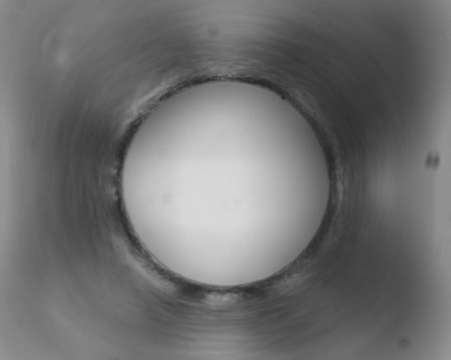 X0000110770450200906150958
