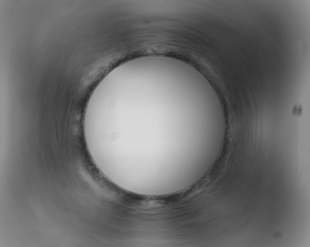 X0000110770451200906150958