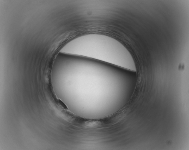 X0000110770452200906150958