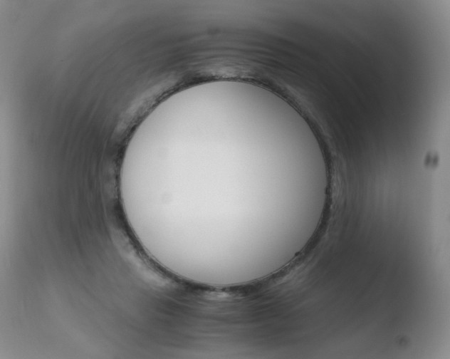 X0000110770453200906150958
