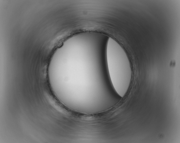 X0000110770454200906150958