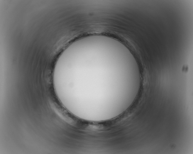 X0000110770455200906150958