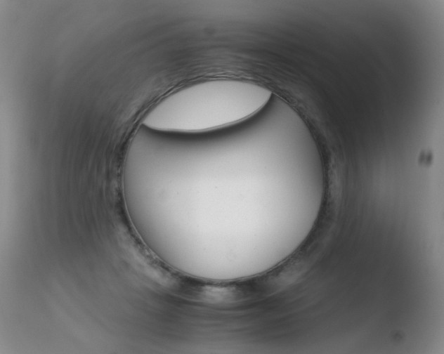X0000110770457200906150958