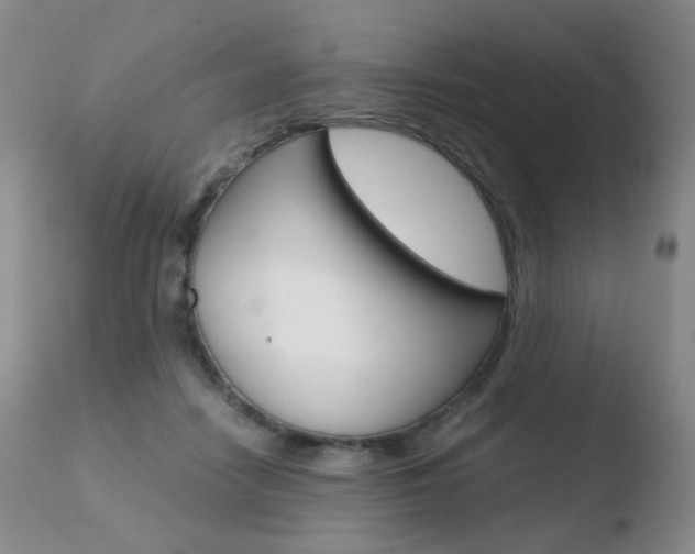 X0000110770458200906150958