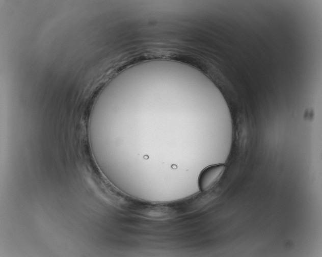 X0000110770459200906150958