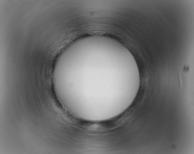 X0000110770460200906150958
