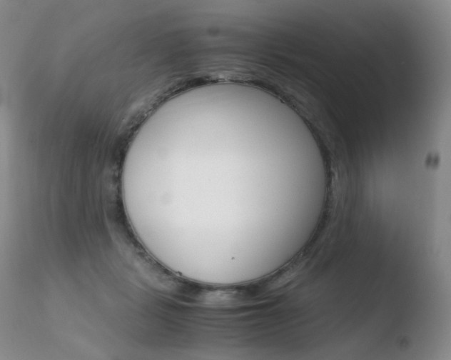 X0000110770461200906150958