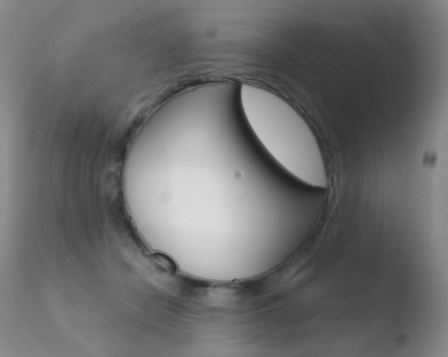 X0000110770462200906150958