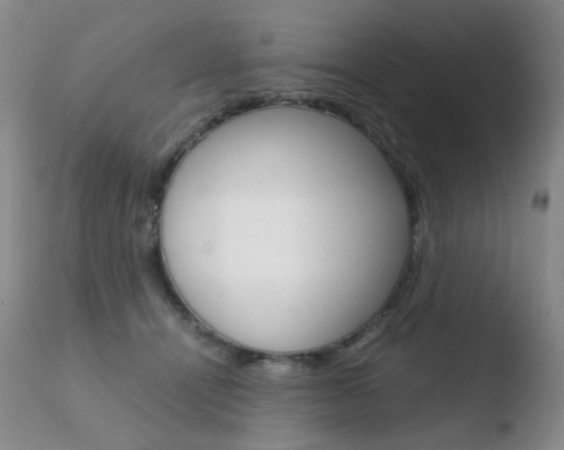 X0000110770464200906150958