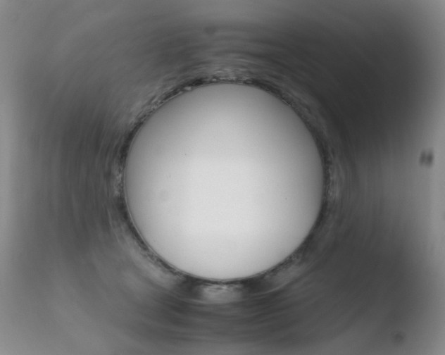 X0000110770465200906150958