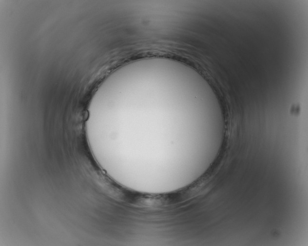 X0000110770466200906150958