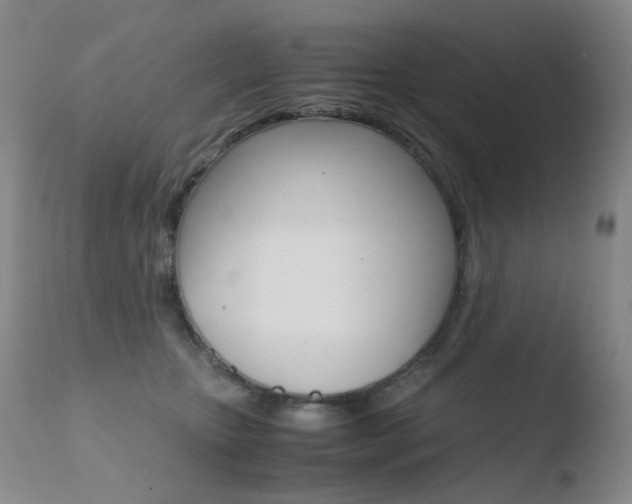 X0000110770467200906150958