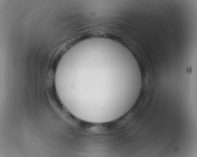 X0000110770468200906150958