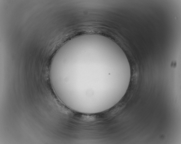 X0000110770469200906150958