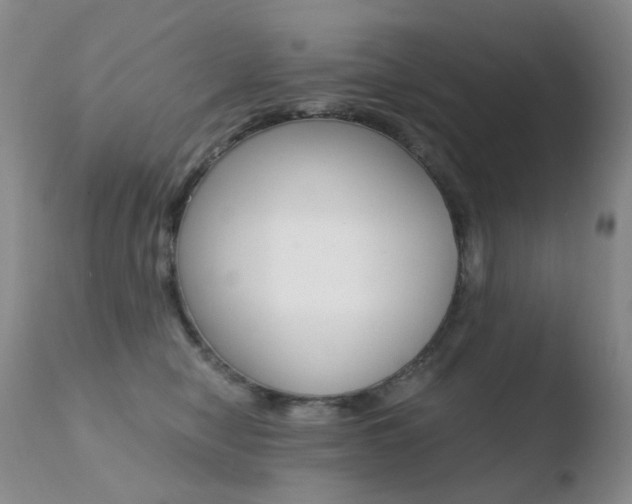 X0000110770470200906150958