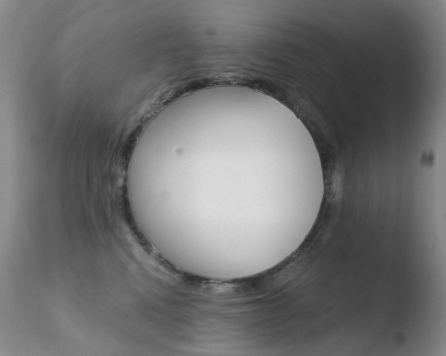 X0000110770472200906150958