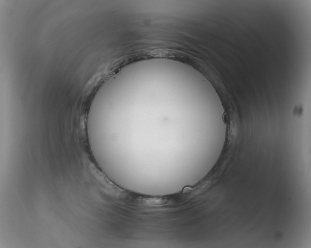 X0000110770473200906150958