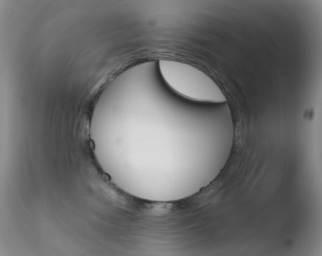 X0000110770474200906150958