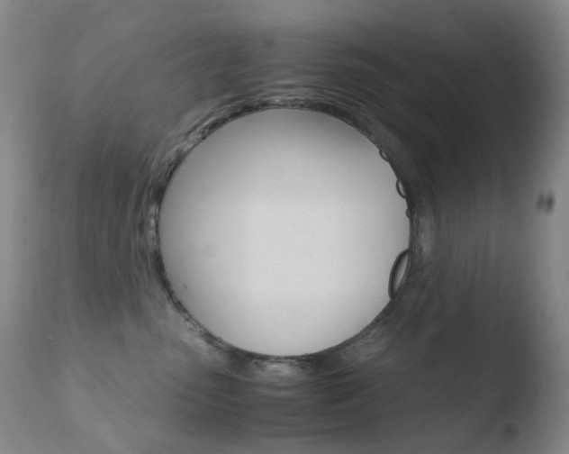 X0000110770475200906150958