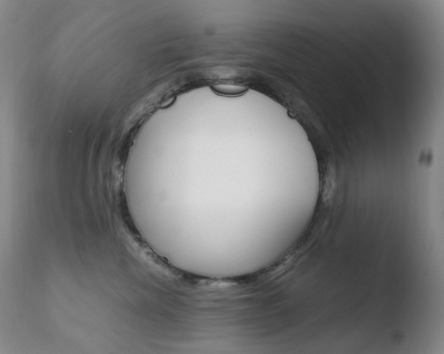 X0000110770476200906150958