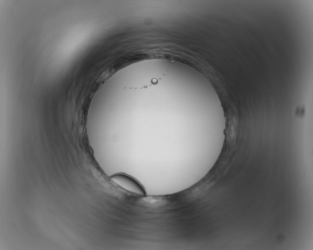 X0000110770477200906150958