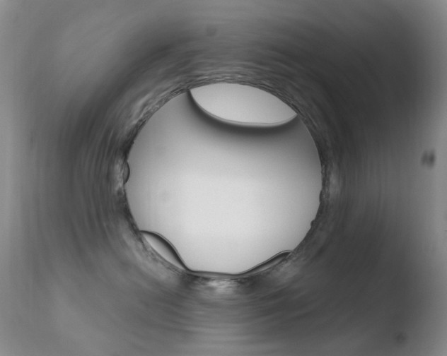 X0000110770478200906150958