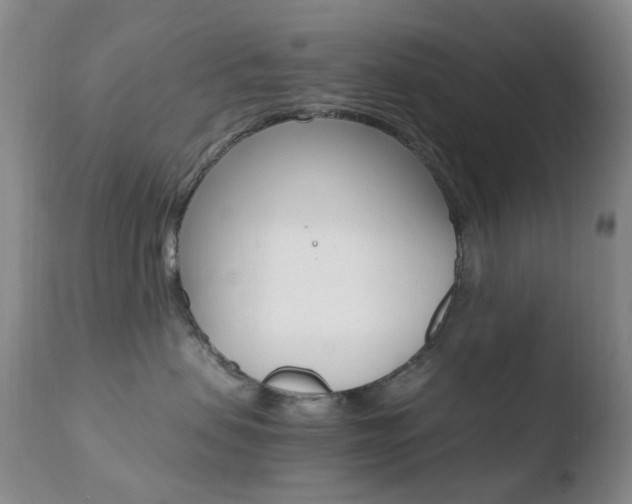 X0000110770479200906150958