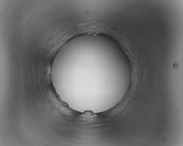 X0000110770480200906150958