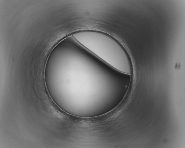 X0000110770481200906150958