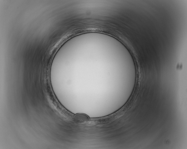 X0000110770482200906150958