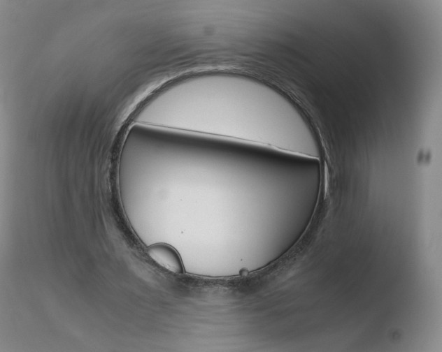 X0000110770483200906150958