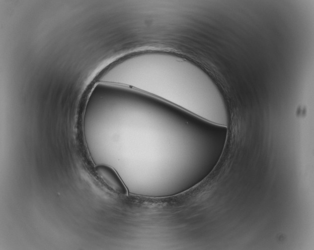 X0000110770484200906150958