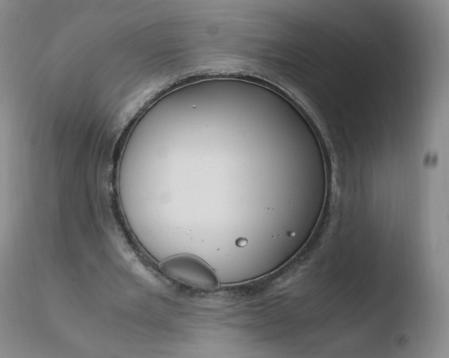 X0000110770485200906150958
