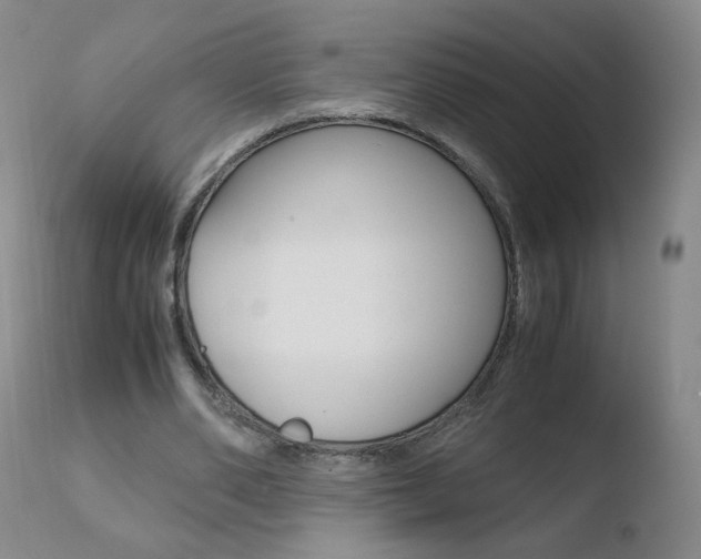 X0000110770486200906150958