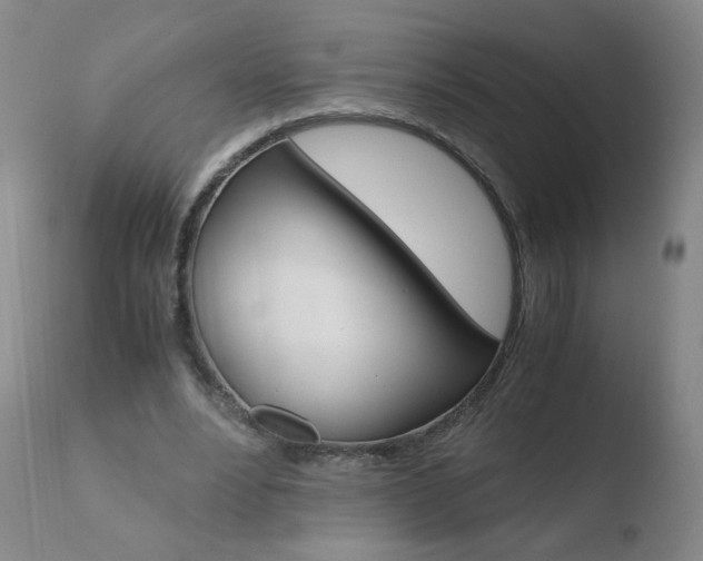 X0000110770488200906150957