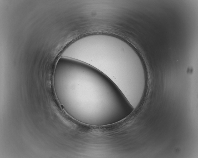 X0000110770489200906150957