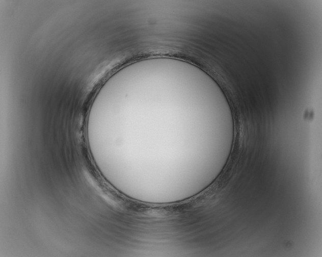 X0000110770490200906150957