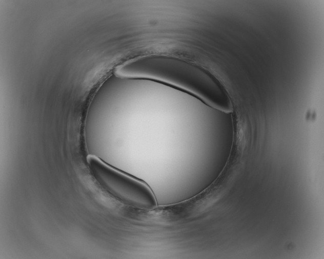 X0000110770493200906150957