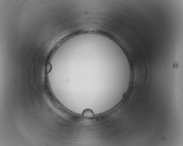 X0000110770494200906150957