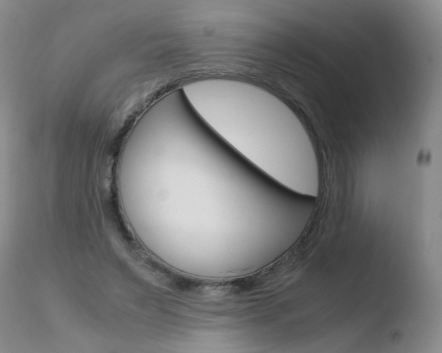 X0000110770495200906150957