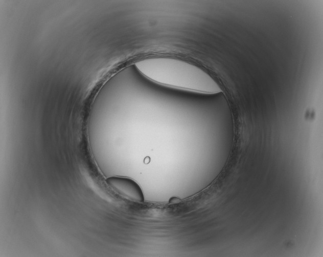 X0000110770496200906150957