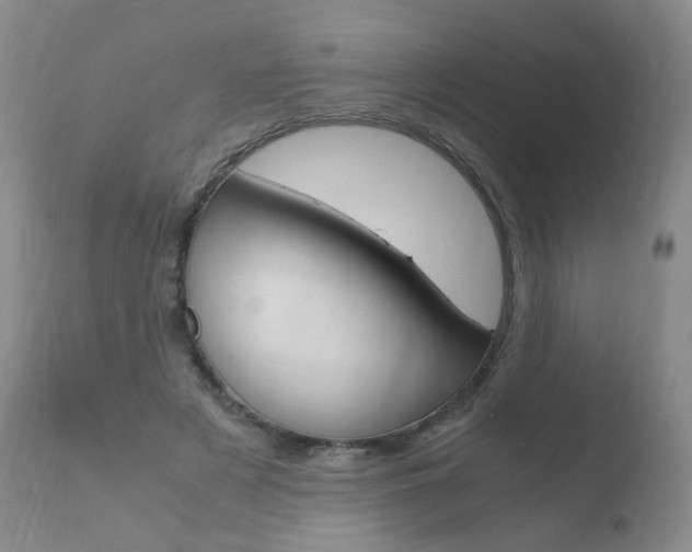 X0000110770497200906150957